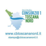 CONSORZIO